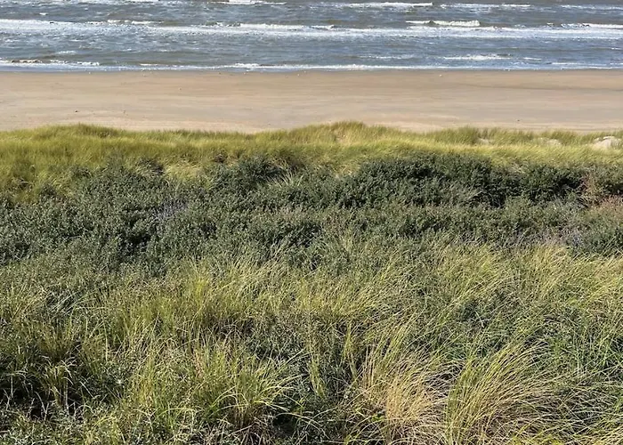 Studio34 Free Parking * Zandvoort